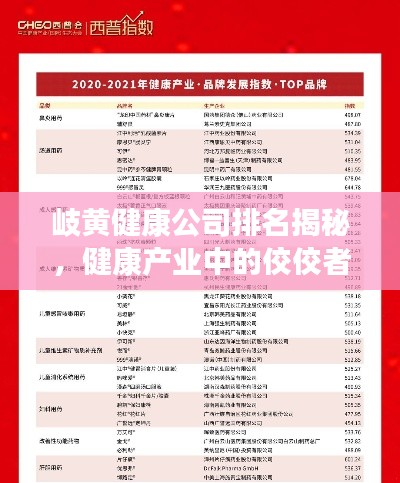 岐黄健康公司排名揭秘，健康产业中的佼佼者地位与影响力