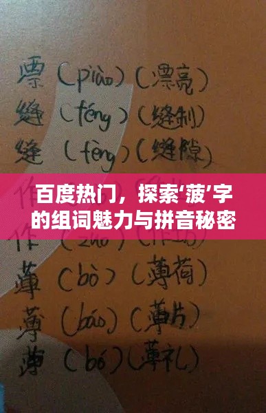 百度热门，探索‘菠’字的组词魅力与拼音秘密
