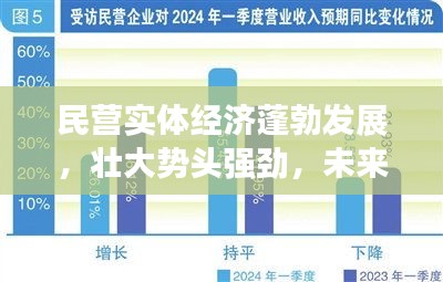 民营实体经济蓬勃发展，壮大势头强劲，未来可期