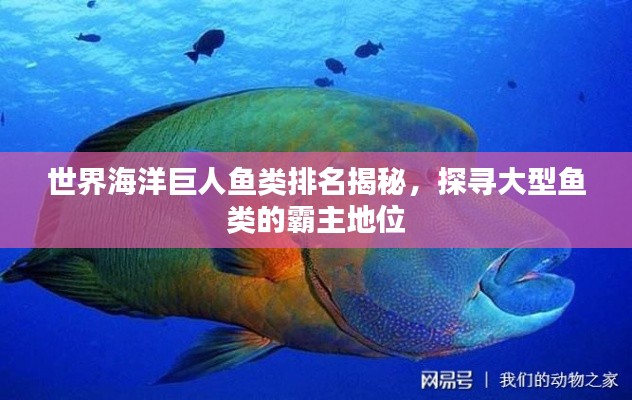 2025年5月3日