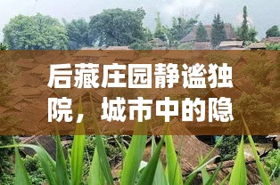 后藏庄园静谧独院，城市中的隐秘绿洲