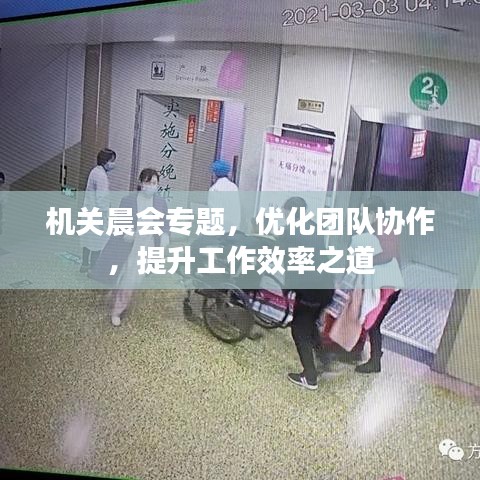 机关晨会专题，优化团队协作，提升工作效率之道