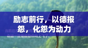 励志前行，以德报怨，化怨为动力