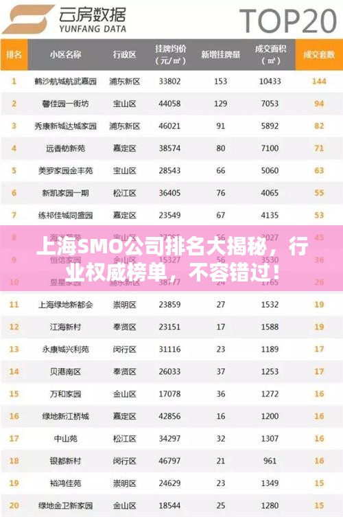 上海SMO公司排名大揭秘，行业权威榜单，不容错过！