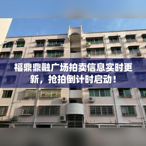 福鼎鼎融广场拍卖信息实时更新，抢拍倒计时启动！