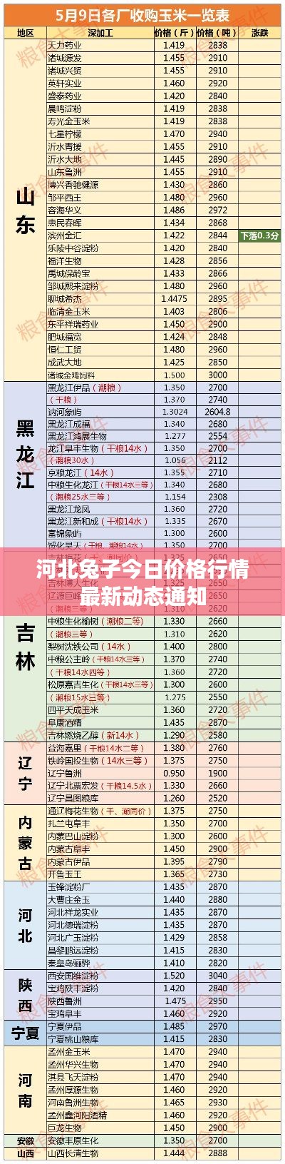 河北兔子今日价格行情最新动态通知