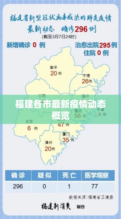 福建各市最新疫情动态概览