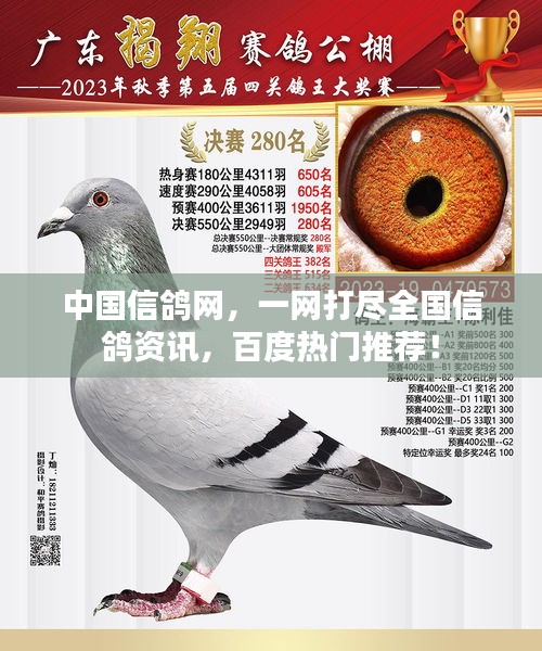 中国信鸽网，一网打尽全国信鸽资讯，百度热门推荐！