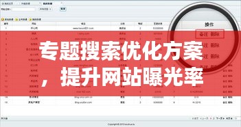 专题搜索优化方案，提升网站曝光率与流量秘籍