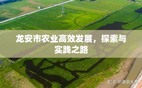 龙安市农业高效发展，探索与实践之路