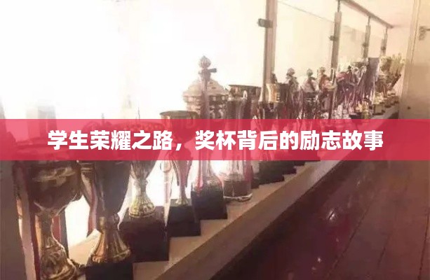 学生荣耀之路，奖杯背后的励志故事