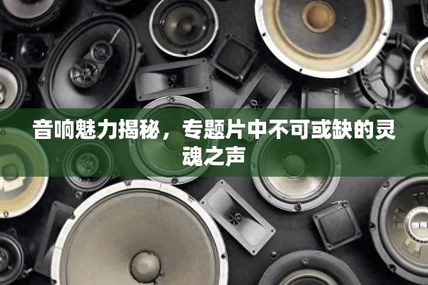 音响魅力揭秘，专题片中不可或缺的灵魂之声
