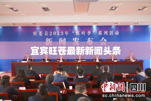 宜宾旺苍最新新闻头条