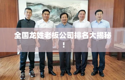 全国龙姓老板公司排名大揭秘！