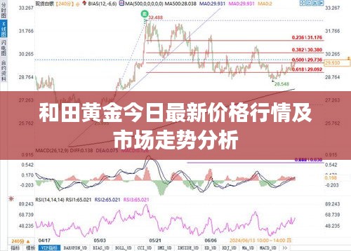 和田黄金今日最新价格行情及市场走势分析