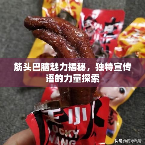 筋头巴脑魅力揭秘，独特宣传语的力量探索