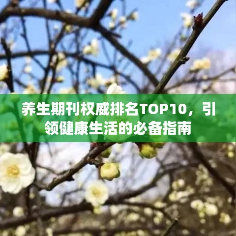 养生期刊权威排名TOP10，引领健康生活的必备指南