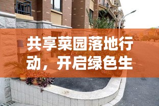 共享菜园落地行动，开启绿色生活新篇章
