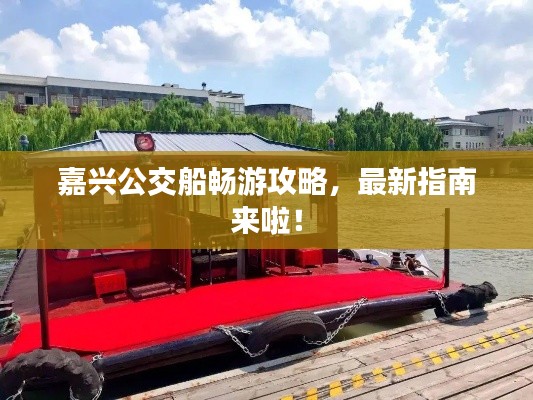 嘉兴公交船畅游攻略，最新指南来啦！
