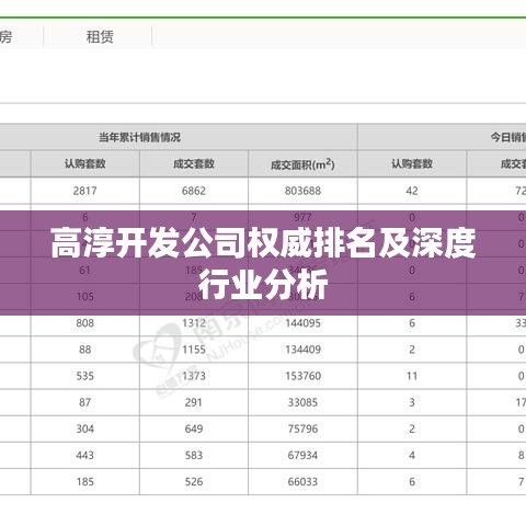 高淳开发公司权威排名及深度行业分析
