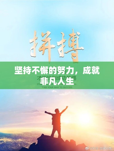 坚持不懈的努力，成就非凡人生