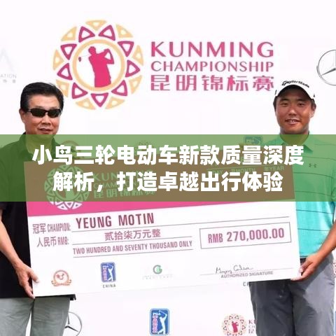 小鸟三轮电动车新款质量深度解析，打造卓越出行体验