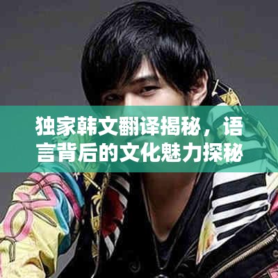 独家韩文翻译揭秘，语言背后的文化魅力探秘