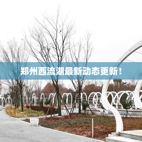 郑州西流湖最新动态更新！