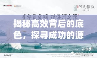 揭秘高效背后的底色，探寻成功的源头奥秘