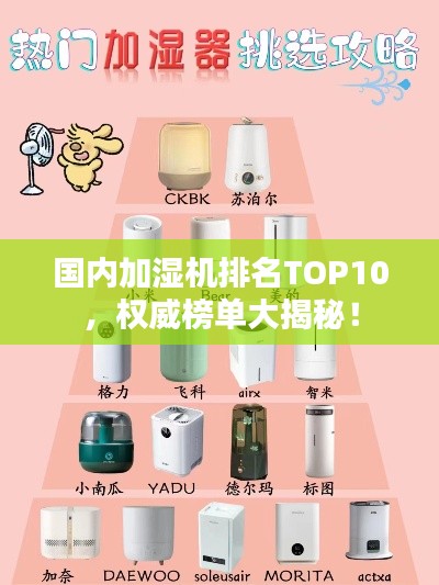 国内加湿机排名TOP10，权威榜单大揭秘！