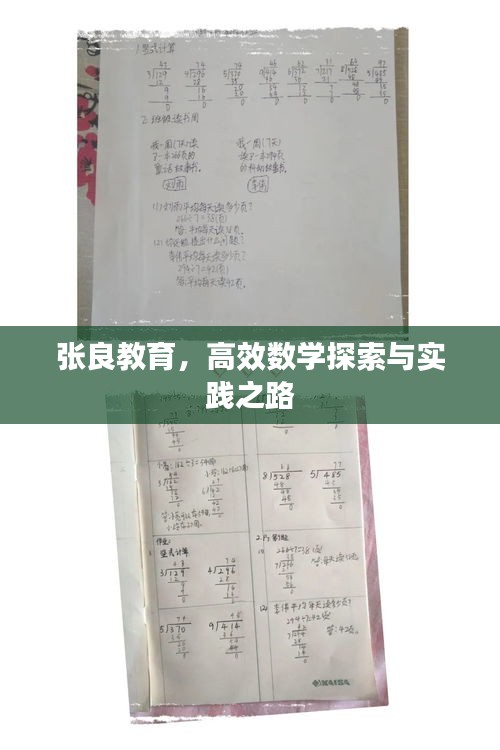 张良教育，高效数学探索与实践之路