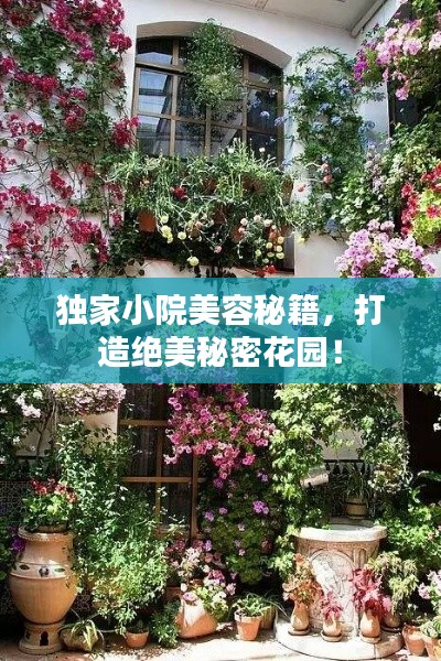 独家小院美容秘籍，打造绝美秘密花园！