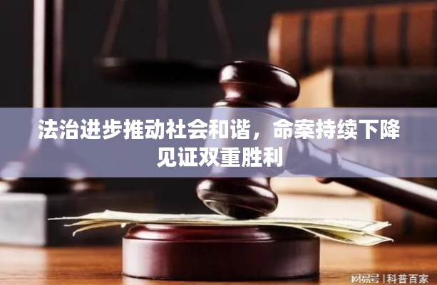 法治进步推动社会和谐，命案持续下降见证双重胜利