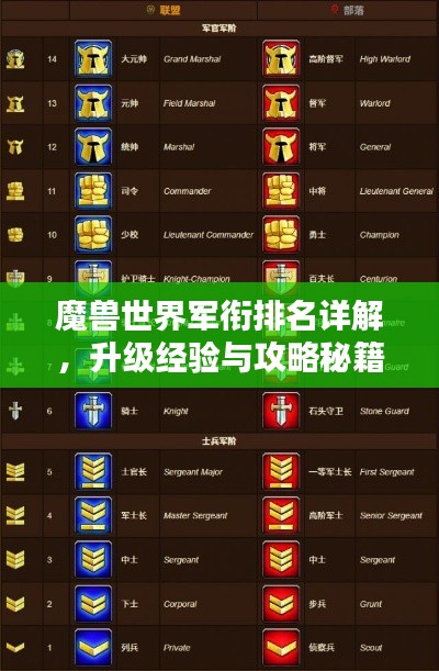 魔兽世界军衔排名详解，升级经验与攻略秘籍一网打尽！