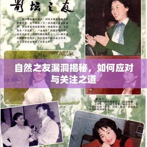 自然之友漏洞揭秘，如何应对与关注之道