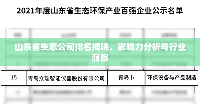山东省生态公司排名揭晓，影响力分析与行业洞察