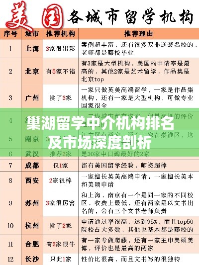 巢湖留学中介机构排名及市场深度剖析