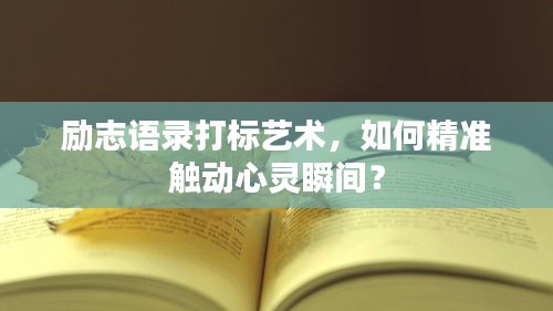 励志语录打标艺术，如何精准触动心灵瞬间？