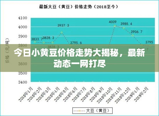 今日小黄豆价格走势大揭秘，最新动态一网打尽