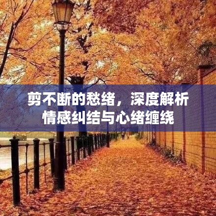 剪不断的愁绪，深度解析情感纠结与心绪缠绕