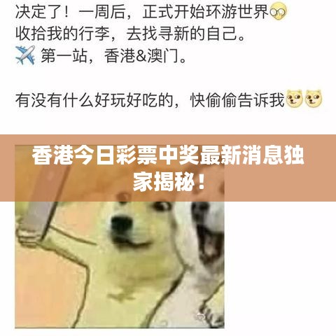 香港今日彩票中奖最新消息独家揭秘！