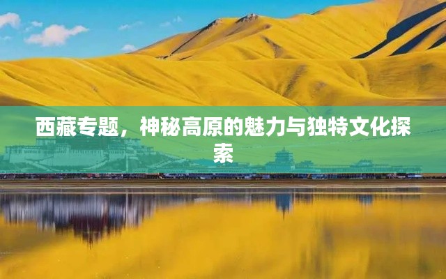西藏专题，神秘高原的魅力与独特文化探索
