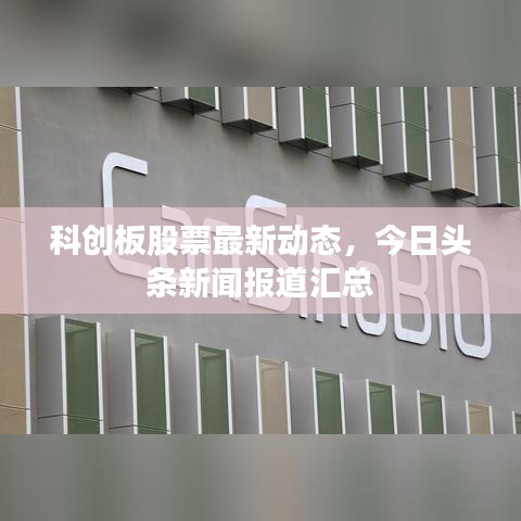 科创板股票最新动态，今日头条新闻报道汇总