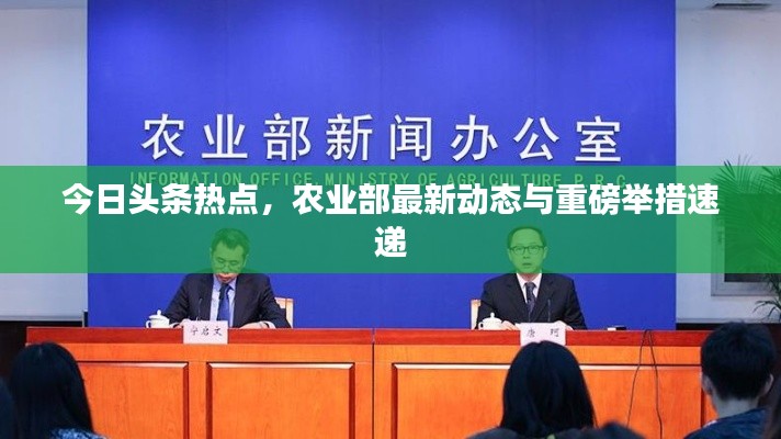 今日头条热点，农业部最新动态与重磅举措速递