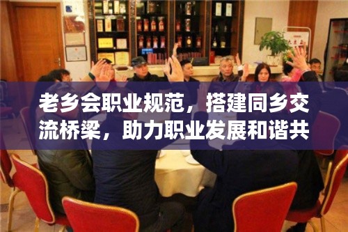 老乡会职业规范，搭建同乡交流桥梁，助力职业发展和谐共进