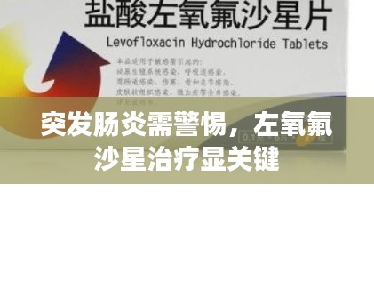 突发肠炎需警惕，左氧氟沙星治疗显关键