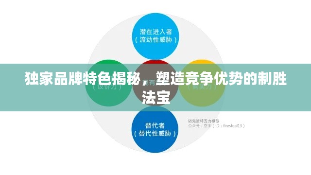 独家品牌特色揭秘，塑造竞争优势的制胜法宝