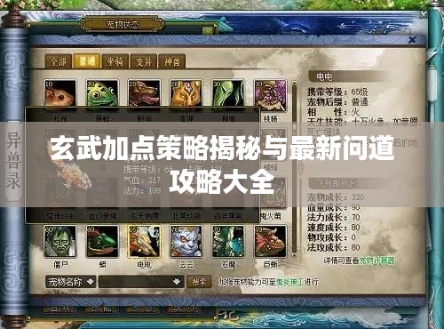 玄武加点策略揭秘与最新问道攻略大全