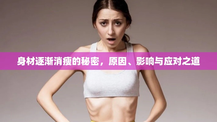身材逐渐消瘦的秘密，原因、影响与应对之道