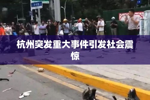 杭州突发重大事件引发社会震惊